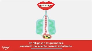 Explora cuáles son las causas y remedios del mal aliento con Colgate®