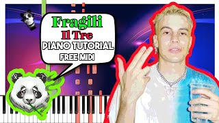 IL TRE - FRAGILI - SANREMO 2024 Piano Tutorial