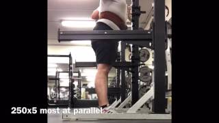 Squat every day: day two 250