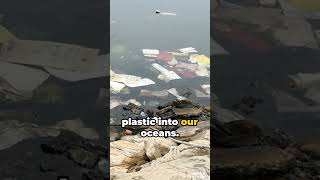 The Global Plastic Pollution Crisis