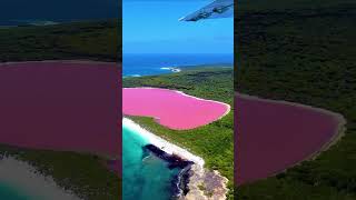 LAGO HILLIER #shorts #curiosidades #shor #shortvideo