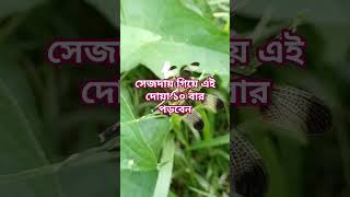 সেজদায় গিয়ে এই দোয়া টা ১০ বার পড়বেন #shorts #subscribe @shopnaakter1932