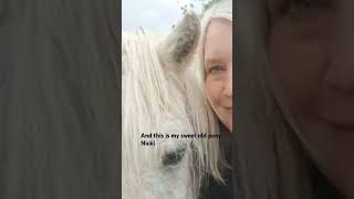 #turning #negativetopositive doing #vanlife in #europe  #reflectingonlife with #sweet  #pony