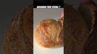 Maximum oven spring sourdough bread #shorts