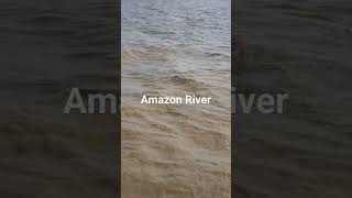 Amazon River || Brown Water #amazonriver #kapalpesiar #brazil