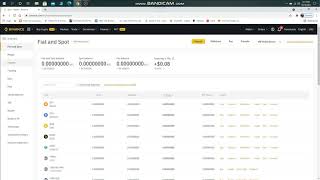 How to Withdraw USDT from Binance