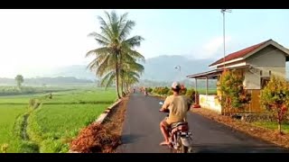 Backsound Suara Alam Pedesaan Suara Ayam Alami Dan Asli