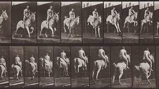 3Résumé Muybridge