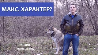 Макс. О характере