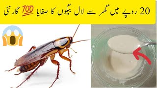 cockroach killer home remedy/ effective and cheap cockroach killer home remedy/ cook with Atti