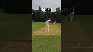 This was a peach of a delivery by 16 year old! #cricket #bowled