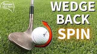 How To SPIN Your WEDGE Shots