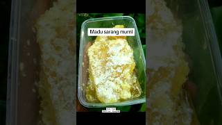 madu sarang madu hutan asli