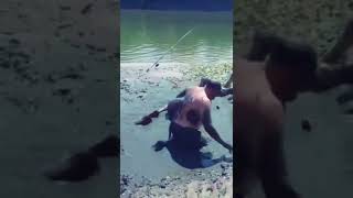 That’s how you fish in Russia 🎣🐠 #suscribe #viral #trending #fyp #wow #shorts #funny #drunk