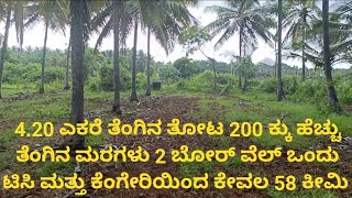 4.20 acer Coconut farm land for sale at Channapatna, Just, 58 Km From Kengeri