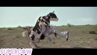 Awesome Kung Fu From a Cow - Carbon Monoxide Cow