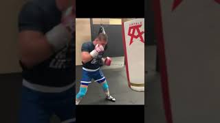 Canelo Alvarez Satisfying Heavybag Work #shorts