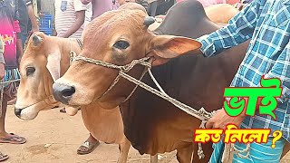 Bhai Koto Nilo? Qurbani Cows (Hozrotpur Paragram) Gorur Hat 2023 | Part 07 | ভাই কত নিলো ২০২৩ |