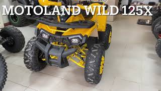 Motoland wild 125 X