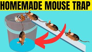 How to Get Rid of Mice WITHOUT Killing