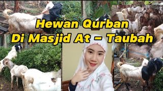 Hewan Qurban Idul Adha 1444 H Masjid At - Taubah Rekesan Jambuwer