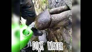 D!ck water