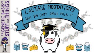 Lactase MOOtations – why people with lactose intolerance can’t drink milk