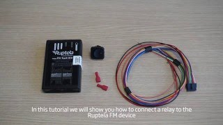 Ruptela: Connecting a Panic Button to the FM Device