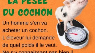 pesé les porcs régulièrement, pourquoi ?