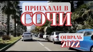 Приехали в СОЧИ! | Сергей Темеров