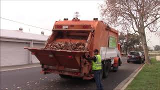 Roseville Leaf Collection Part 2