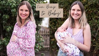 From Bump to Baby! Pregnancy Progression Video - Week by Week