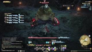 FF14 ゼーメル要塞 白魔道士