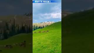 Siripaye Shogran Valley, kpk, Pakistan #Beautyofpakistan1