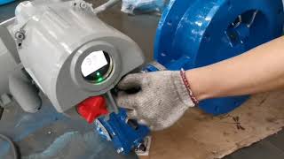 Electric actuator testing with butterfly valve