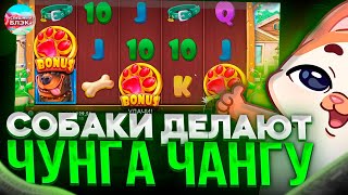 🎯СОБАКИ ДЕЛАЮТ ЧУНГА ЧАНГУ \ СЛОВИЛ ЗАНОС В DOG HOUSE MULTIHOLD