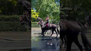 Royal Horse guards parade London 15th June 2024