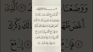 Surah Alam Nashra #quranrecitation #islamicshorts #islamicscripture #tilawatequran #shorts #foryou