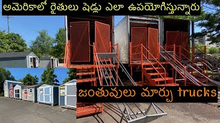 అమెరికాలో రైతులు Sheds||జంతువులు మార్చు trucks||Telugu vlogs from usa