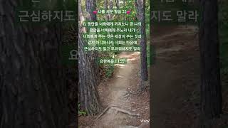 🌿세상이 주는 것과 같지 아니하니라🌿/요한복음 14:27/나를 세운 말씀 53/맨발 걷기 좋은 날 241/앞산 맨발산행루틴