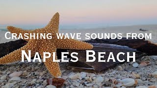 30 min - Crashing Wave Sounds at Sunrise - Naples Beach Florida #gulfofmexico #southwestflorida