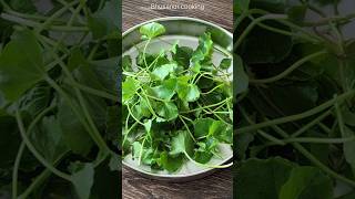 Garden fresh thimare | Herbal plant #shorts #garden