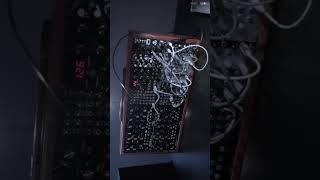 Moogx2 & eurorack percussion #modularsynth #mother32 #electronicmusic #synthesizer #moogsynth #synth