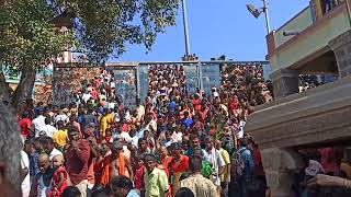 Palani Murugan Temple | பழனி முருகன் கோவிலுக்கு நடந்தே செல்லும் எடப்பாடி பக்தர்கள் | Edappadi