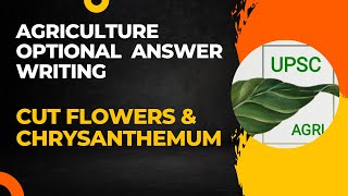 Cut Flowers & Chrysanthemum | Agriculture Optional Answer Writing Practice | UPSC