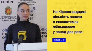 На Кіровоградщині кількість пожеж в екосистемах збільшилася у понад два рази // Брифінг