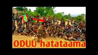 maqaa WBOn saamicha raawwate, arsii fi shawaatti dararaa pp, Iluu abbabootti hidhaa,#oromo #ethiopa