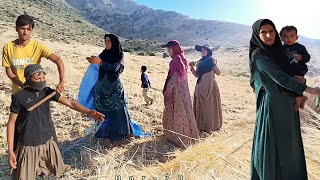 Mehdi's help to Zulfa's sister to build a nomadic hut.baarf Zulfa. Mahdi. Aida