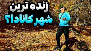 مونترال زنده ترین شهر کانادا? از قیمت خونه تا زیبایی پاییز