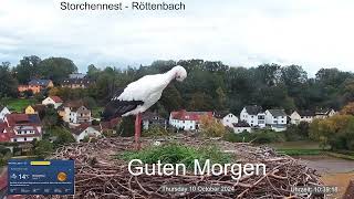 2024 10 10 Storchennest Röttenbach gehört  wieder den Röttis, Tropensturm sorgt für Flugverbot🤣🤣🤣